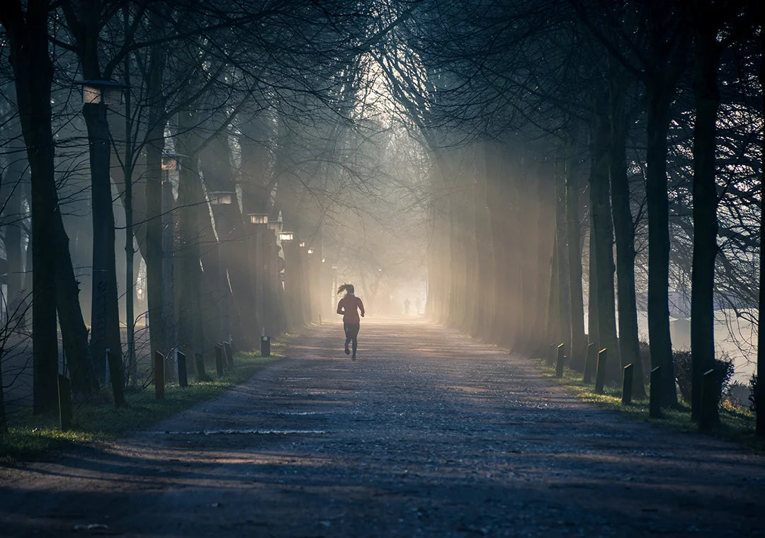 Person running down a foggy tree-lined path